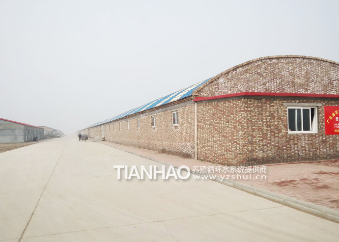 河北黃驊金匯水產工廠化循環水養殖項目